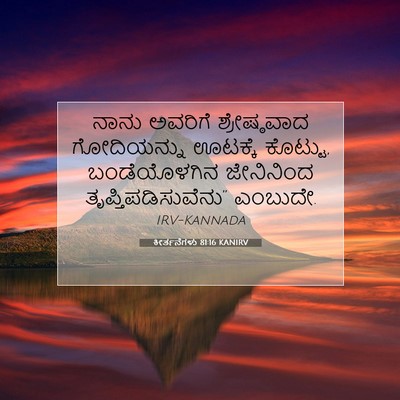 Picture 07 - ಕೀರ್ತನೆಗಳು 81:16 KANIRV - ನಾನು ಅವರಿಗೆ - Bible Verse Picture