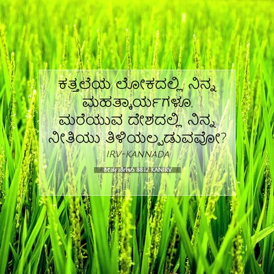 Picture 07 - ಕೀರ್ತನೆಗಳು 88:12 KANIRV - ಕತ್ತಲೆಯ ಲೋಕದಲ್ಲಿ - Bible Verse Picture