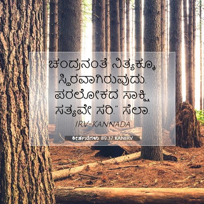 Picture 07 - ಕೀರ್ತನೆಗಳು 89:37 KANIRV - ಚಂದ್ರನಂತೆ - Bible Verse Picture