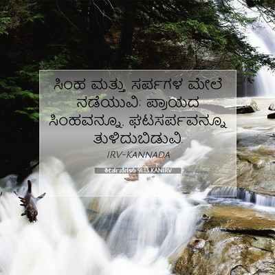 Picture 07 - ಕೀರ್ತನೆಗಳು 91:13 KANIRV - ಸಿಂಹ ಮತ್ತು ಸರ್ಪಗಳ - Bible Verse Picture