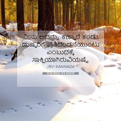 Picture 07 - ಕೀರ್ತನೆಗಳು 91:8 KANIRV - ನೀನು ಅದನ್ನು - Bible Verse Picture