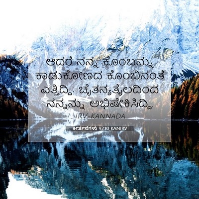 Picture 07 - ಕೀರ್ತನೆಗಳು 92:10 KANIRV - ಆದರೆ ನನ್ನ - Bible Verse Picture