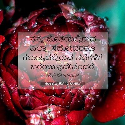 Picture 07 - ಗಲಾತ್ಯದವರಿಗೆ 1:2 KANIRV - ನನ್ನ ಜೊತೆಯಲ್ಲಿರುವ - Bible Verse Picture
