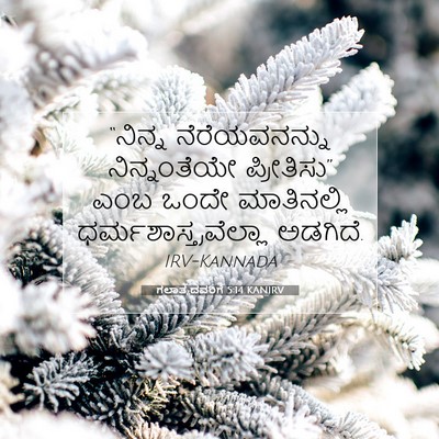 Picture 07 - ಗಲಾತ್ಯದವರಿಗೆ 5:14 KANIRV - “ನಿನ್ನ - Bible Verse Picture