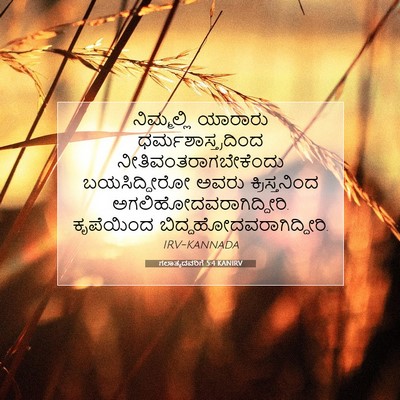 Picture 07 - ಗಲಾತ್ಯದವರಿಗೆ 5:4 KANIRV - ನಿಮ್ಮಲ್ಲಿ ಯಾರಾರು - Bible Verse Picture