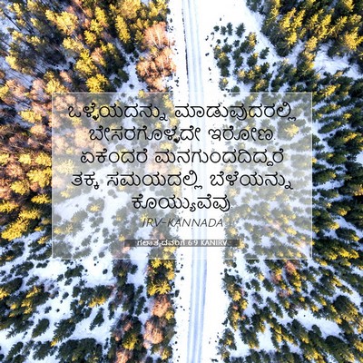 Picture 07 - ಗಲಾತ್ಯದವರಿಗೆ 6:9 KANIRV - ಒಳ್ಳೆಯದನ್ನು - Bible Verse Picture