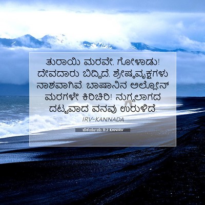 Picture 07 - ಜೆಕರ್ಯನು 11:2 KANIRV - ತುರಾಯಿ ಮರವೇ, - Bible Verse Picture