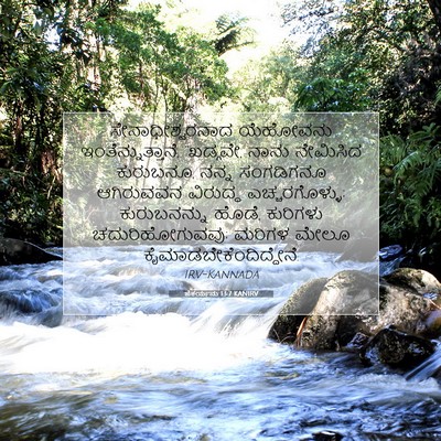 Picture 07 - ಜೆಕರ್ಯನು 13:7 KANIRV - ಸೇನಾಧೀಶ್ವರನಾದ - Bible Verse Picture