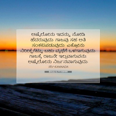 Picture 07 - ಜೆಕರ್ಯನು 9:5 KANIRV - ಅಷ್ಕೆಲೋನು ಇದನ್ನು - Bible Verse Picture