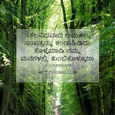 Picture 07 - ಜ್ಞಾನೋಕ್ತಿಗಳು 1:13 KANIRV - ಸಕಲವಿಧವಾದ ಅಮೂಲ್ಯ - Bible Verse Picture