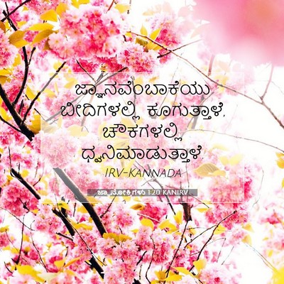 Picture 07 - ಜ್ಞಾನೋಕ್ತಿಗಳು 1:20 KANIRV - ಜ್ಞಾನವೆಂಬಾಕೆಯು - Bible Verse Picture