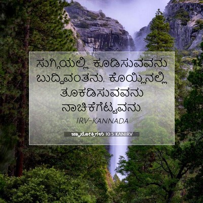 Picture 07 - ಜ್ಞಾನೋಕ್ತಿಗಳು 10:5 KANIRV - ಸುಗ್ಗಿಯಲ್ಲಿ - Bible Verse Picture