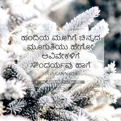 Picture 07 - ಜ್ಞಾನೋಕ್ತಿಗಳು 11:22 KANIRV - ಹಂದಿಯ ಮೂಗಿಗೆ - Bible Verse Picture