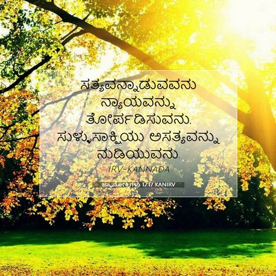 Picture 07 - ಜ್ಞಾನೋಕ್ತಿಗಳು 12:17 KANIRV - ಸತ್ಯವನ್ನಾಡುವವನು - Bible Verse Picture
