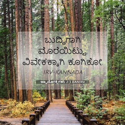 Picture 07 - ಜ್ಞಾನೋಕ್ತಿಗಳು 2:3 KANIRV - ಬುದ್ಧಿಗಾಗಿ - Bible Verse Picture