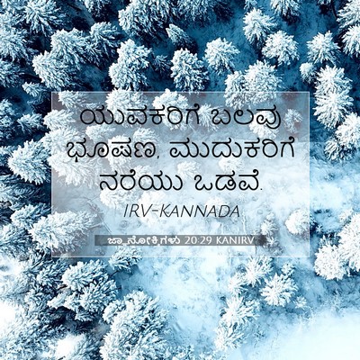 Picture 07 - ಜ್ಞಾನೋಕ್ತಿಗಳು 20:29 KANIRV - ಯುವಕರಿಗೆ ಬಲವು - Bible Verse Picture