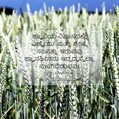 Picture 07 - ಜ್ಞಾನೋಕ್ತಿಗಳು 21:20 KANIRV - ಜ್ಞಾನಿಯ - Bible Verse Picture