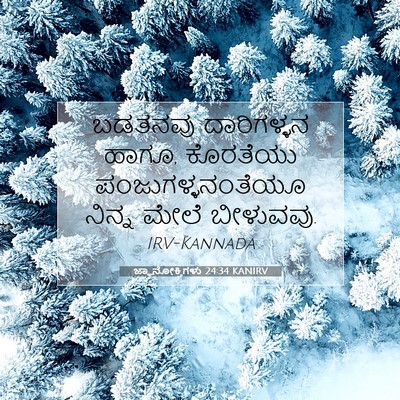 Picture 07 - ಜ್ಞಾನೋಕ್ತಿಗಳು 24:34 KANIRV - ಬಡತನವು ದಾರಿಗಳ್ಳನ - Bible Verse Picture