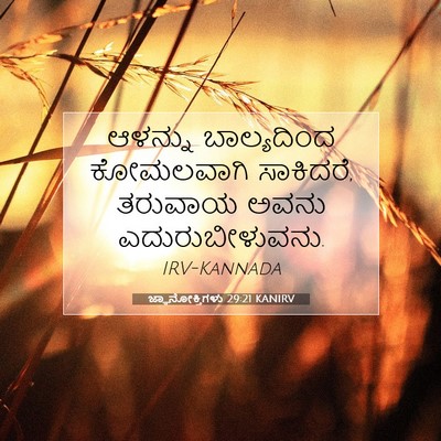 Picture 07 - ಜ್ಞಾನೋಕ್ತಿಗಳು 29:21 KANIRV - ಆಳನ್ನು ಬಾಲ್ಯದಿಂದ - Bible Verse Picture