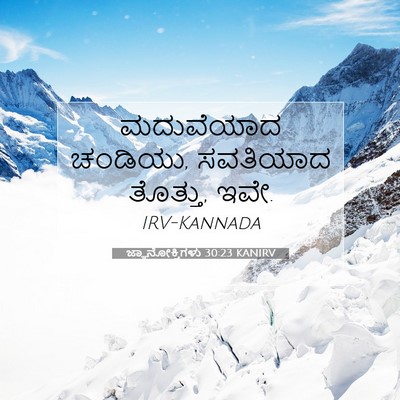 Picture 07 - ಜ್ಞಾನೋಕ್ತಿಗಳು 30:23 KANIRV - ಮದುವೆಯಾದ ಚಂಡಿಯು, - Bible Verse Picture