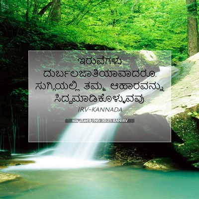 Picture 07 - ಜ್ಞಾನೋಕ್ತಿಗಳು 30:25 KANIRV - ಇರುವೆಗಳು - Bible Verse Picture