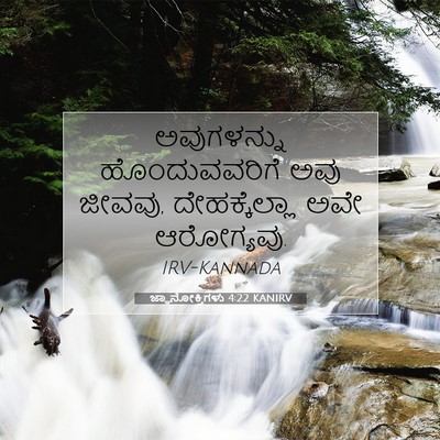 Picture 07 - ಜ್ಞಾನೋಕ್ತಿಗಳು 4:22 KANIRV - ಅವುಗಳನ್ನು - Bible Verse Picture