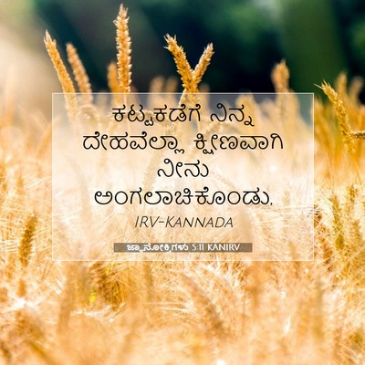 Picture 07 - ಜ್ಞಾನೋಕ್ತಿಗಳು 5:11 KANIRV - ಕಟ್ಟಕಡೆಗೆ ನಿನ್ನ - Bible Verse Picture