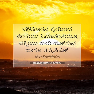 Picture 07 - ಜ್ಞಾನೋಕ್ತಿಗಳು 6:5 KANIRV - ಬೇಟೆಗಾರನ ಕೈಯಿಂದ - Bible Verse Picture