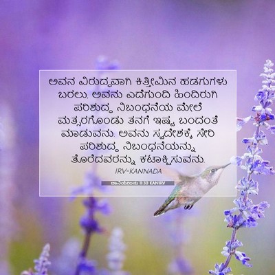 Picture 07 - ದಾನಿಯೇಲನು 11:30 KANIRV - ಅವನ ವಿರುದ್ಧವಾಗಿ - Bible Verse Picture