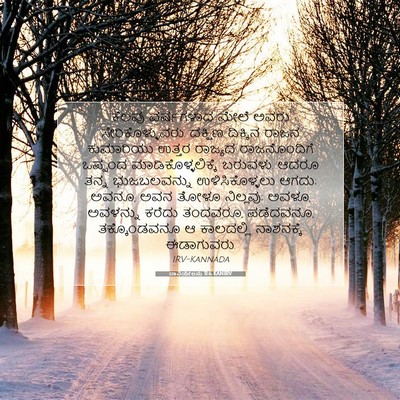 Picture 07 - ದಾನಿಯೇಲನು 11:6 KANIRV - ಕೆಲವು ವರ್ಷಗಳಾದ - Bible Verse Picture