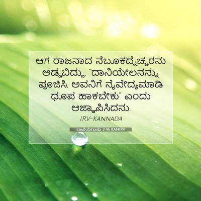Picture 07 - ದಾನಿಯೇಲನು 2:46 KANIRV - ಆಗ ರಾಜನಾದ - Bible Verse Picture