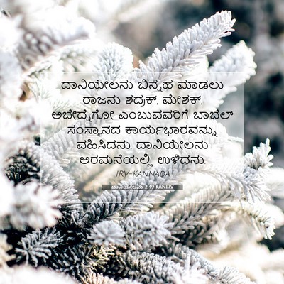 Picture 07 - ದಾನಿಯೇಲನು 2:49 KANIRV - ದಾನಿಯೇಲನು ಬಿನ್ನಹ - Bible Verse Picture