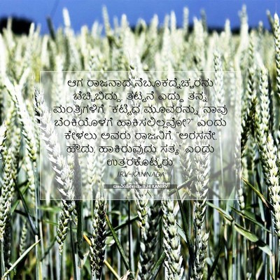 Picture 07 - ದಾನಿಯೇಲನು 3:24 KANIRV - ಆಗ ರಾಜನಾದ - Bible Verse Picture