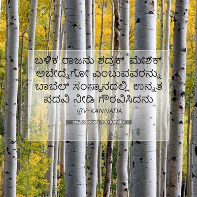 Picture 07 - ದಾನಿಯೇಲನು 3:30 KANIRV - ಬಳಿಕ ರಾಜನು ಶದ್ರಕ್, - Bible Verse Picture