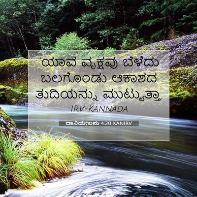 Picture 07 - ದಾನಿಯೇಲನು 4:20 KANIRV - “ಯಾವ ವೃಕ್ಷವು - Bible Verse Picture