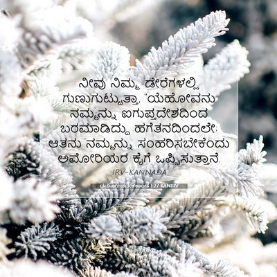 Picture 07 - ಧರ್ಮೋಪದೇಶಕಾಂಡ 1:27 KANIRV - ನೀವು ನಿಮ್ಮ - Bible Verse Picture