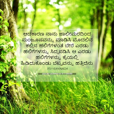 Picture 07 - ಧರ್ಮೋಪದೇಶಕಾಂಡ 10:3 KANIRV - ಆದಕಾರಣ ನಾನು - Bible Verse Picture