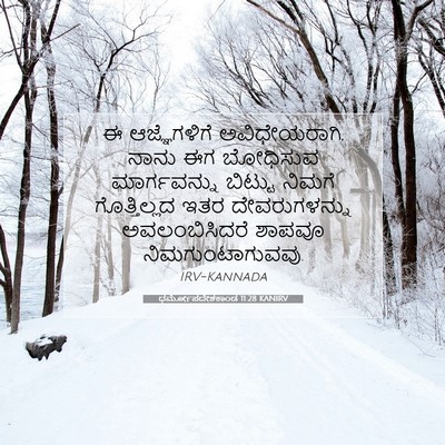 Picture 07 - ಧರ್ಮೋಪದೇಶಕಾಂಡ 11:28 KANIRV - ಈ ಆಜ್ಞೆಗಳಿಗೆ - Bible Verse Picture