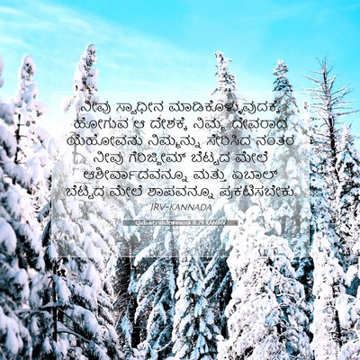 Picture 07 - ಧರ್ಮೋಪದೇಶಕಾಂಡ 11:29 KANIRV - ನೀವು ಸ್ವಾಧೀನ - Bible Verse Picture