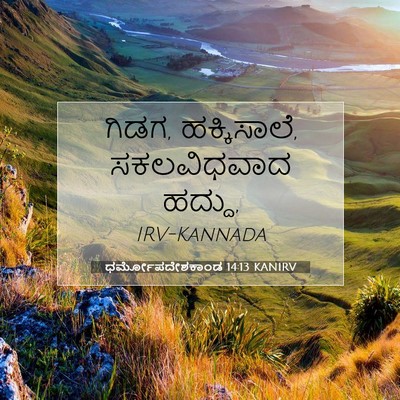 Picture 07 - ಧರ್ಮೋಪದೇಶಕಾಂಡ 14:13 KANIRV - ಗಿಡಗ, ಹಕ್ಕಿಸಾಲೆ, - Bible Verse Picture