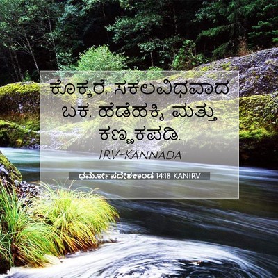Picture 07 - ಧರ್ಮೋಪದೇಶಕಾಂಡ 14:18 KANIRV - ಕೊಕ್ಕರೆ, - Bible Verse Picture
