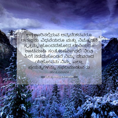 Picture 07 - ಧರ್ಮೋಪದೇಶಕಾಂಡ 14:29 KANIRV - ಆಗ ಊರಿನಲ್ಲಿರುವ - Bible Verse Picture
