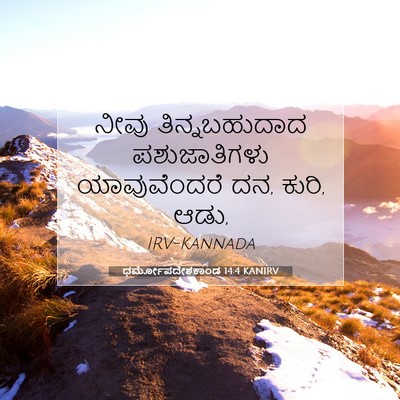 Picture 07 - ಧರ್ಮೋಪದೇಶಕಾಂಡ 14:4 KANIRV - ನೀವು ತಿನ್ನಬಹುದಾದ - Bible Verse Picture