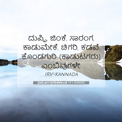 Picture 07 - ಧರ್ಮೋಪದೇಶಕಾಂಡ 14:5 KANIRV - ದುಪ್ಪಿ, ಜಿಂಕೆ, - Bible Verse Picture
