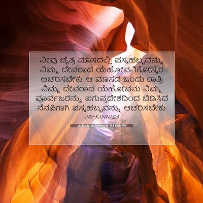 Picture 07 - ಧರ್ಮೋಪದೇಶಕಾಂಡ 16:1 KANIRV - ನೀವು ಚೈತ್ರ - Bible Verse Picture