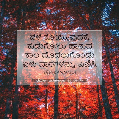 Picture 07 - ಧರ್ಮೋಪದೇಶಕಾಂಡ 16:9 KANIRV - ಬೆಳೆ - Bible Verse Picture