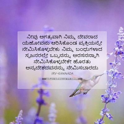 Picture 07 - ಧರ್ಮೋಪದೇಶಕಾಂಡ 17:15 KANIRV - ನೀವು ಅಗತ್ಯವಾಗಿ - Bible Verse Picture