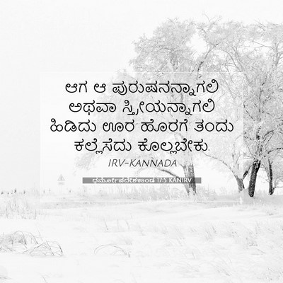 Picture 07 - ಧರ್ಮೋಪದೇಶಕಾಂಡ 17:5 KANIRV - ಆಗ ಆ - Bible Verse Picture