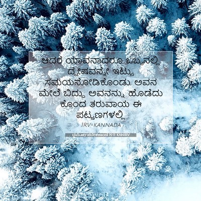 Picture 07 - ಧರ್ಮೋಪದೇಶಕಾಂಡ 19:11 KANIRV - ಆದರೆ ಯಾವನಾದರೂ - Bible Verse Picture