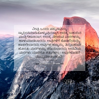 Picture 07 - ಧರ್ಮೋಪದೇಶಕಾಂಡ 20:19 KANIRV - ನೀವು ಒಂದು - Bible Verse Picture